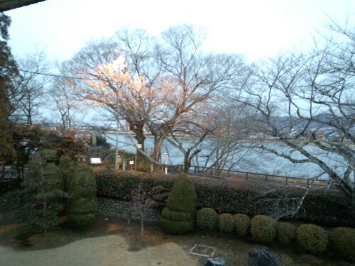 IMG_20140128_063941564.jpg image