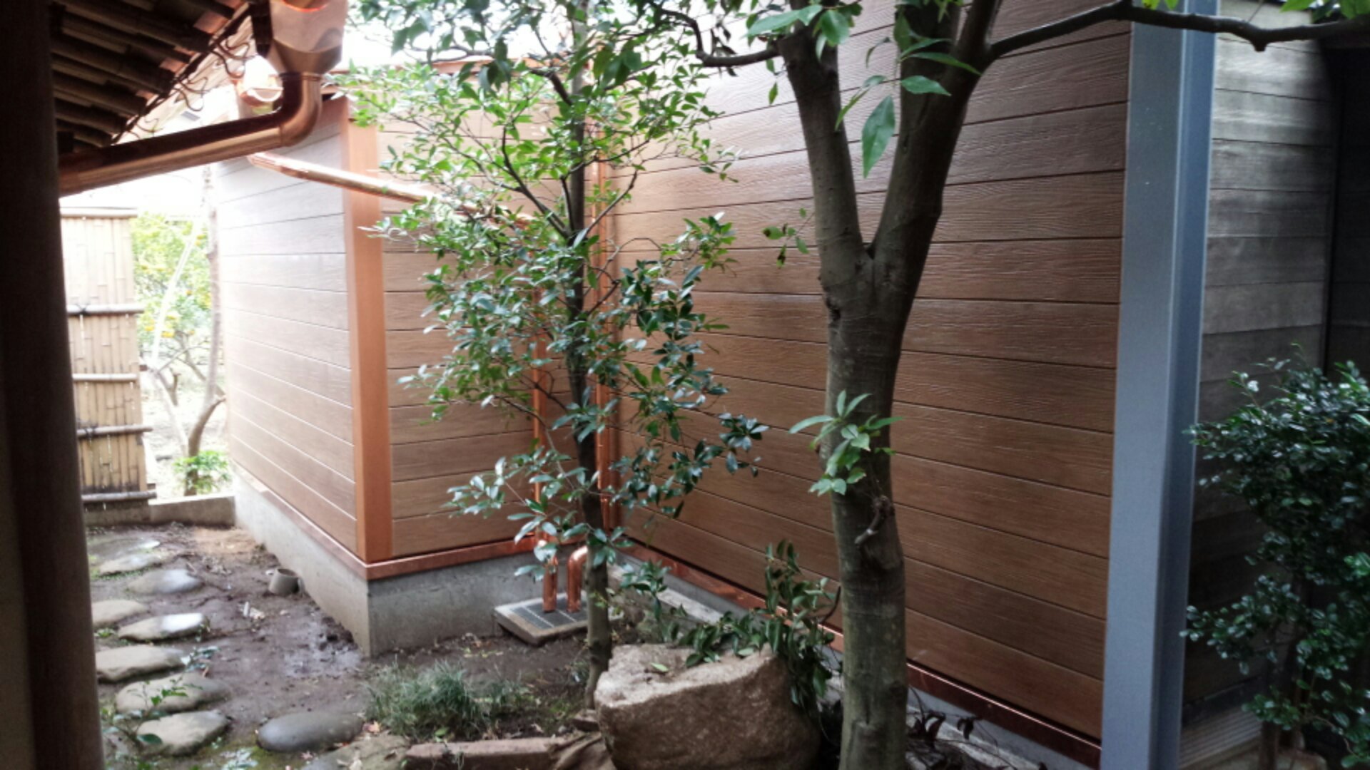 IMG_20141216_093826.jpg image