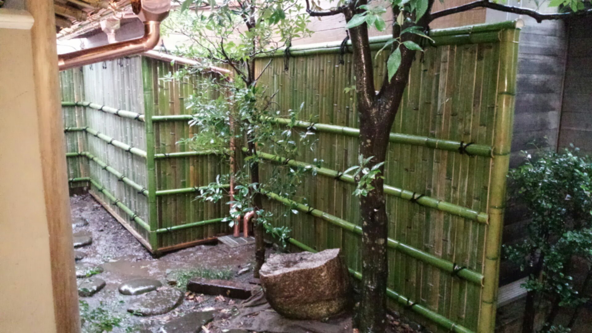 IMG_20141220_155347.jpg image