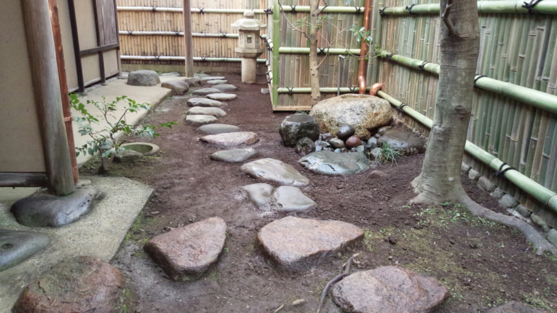 IMG_20150203_163411.jpg image