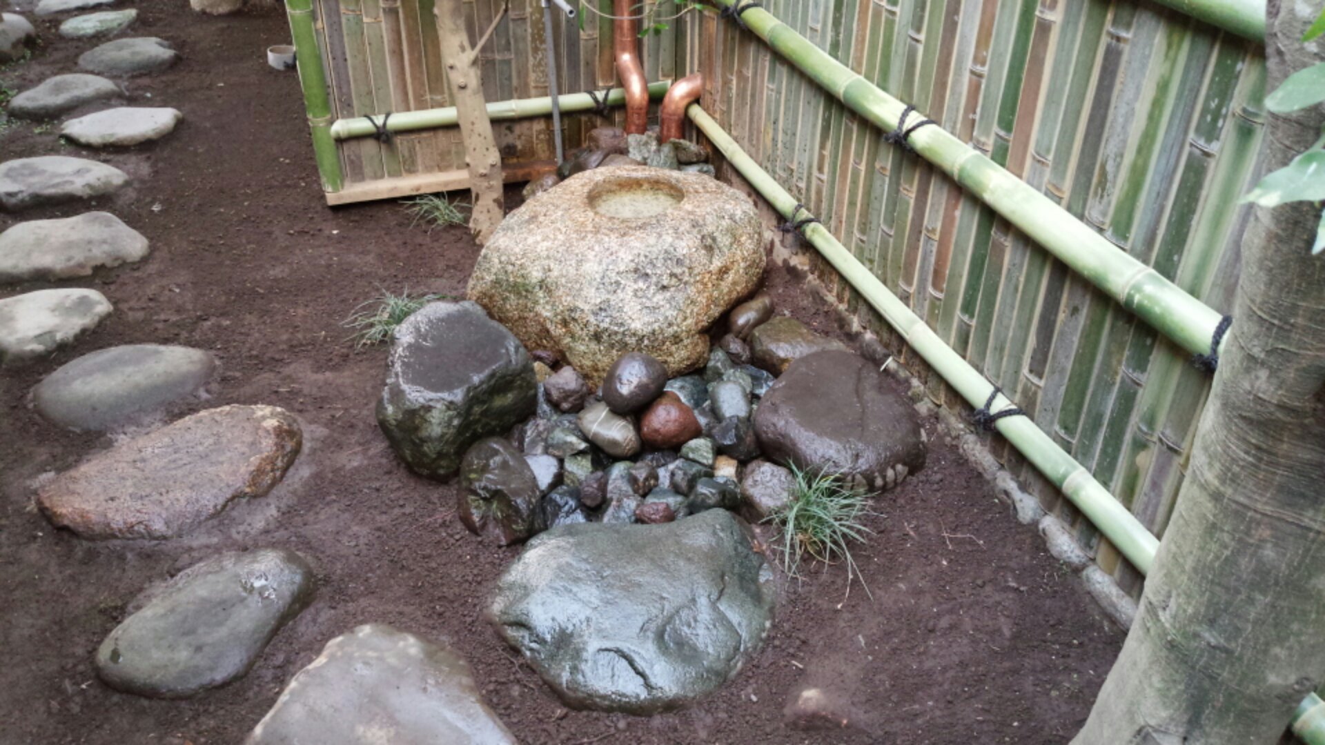 IMG_20150203_163430.jpg image