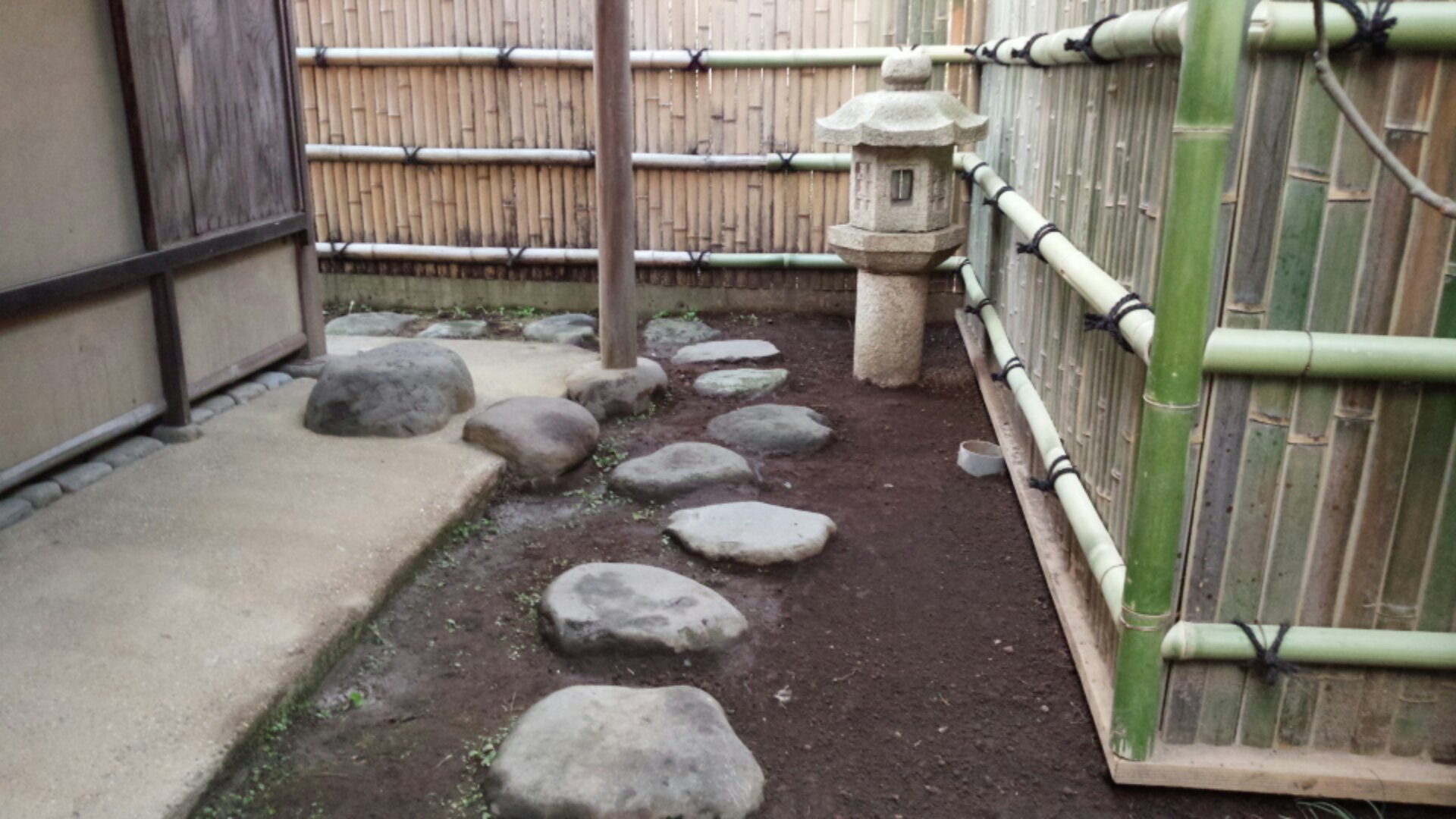 IMG_20150203_163449.jpg image