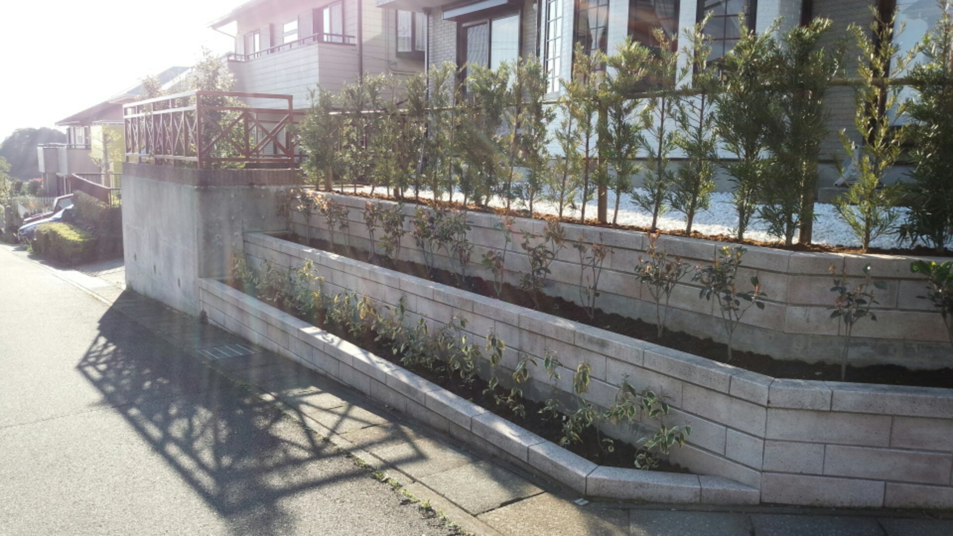 IMG_20150415_162555.jpg image