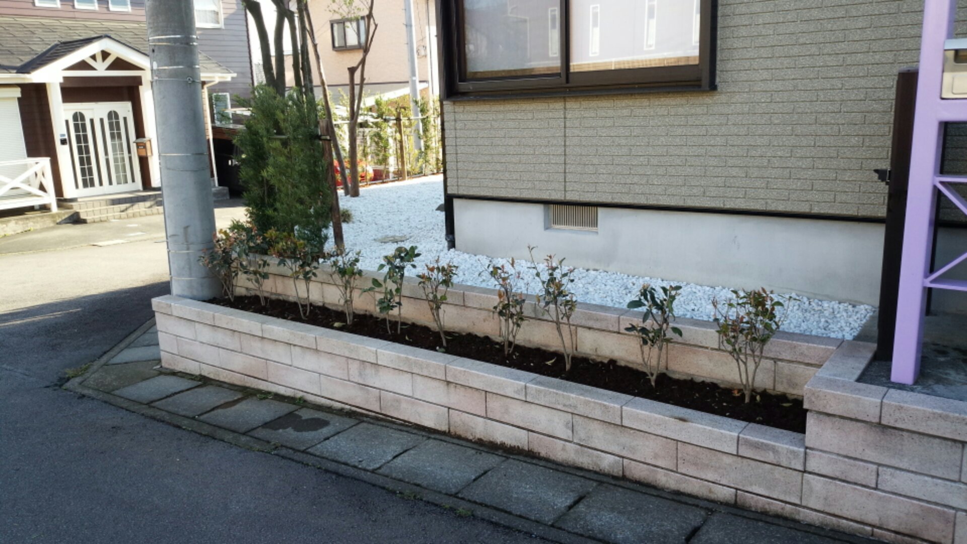 IMG_20150415_162705.jpg image