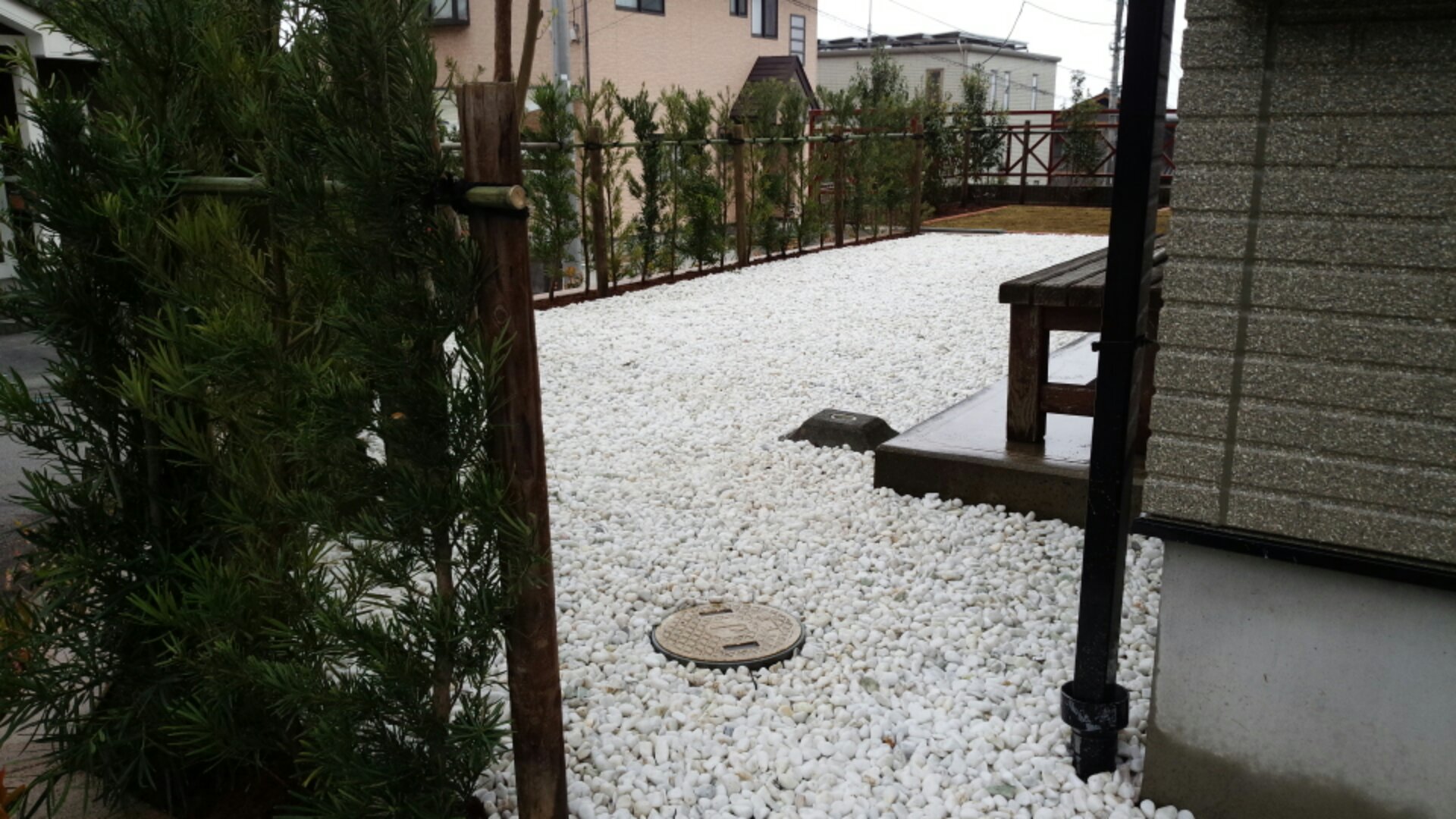 IMG_20150417_101428.jpg image