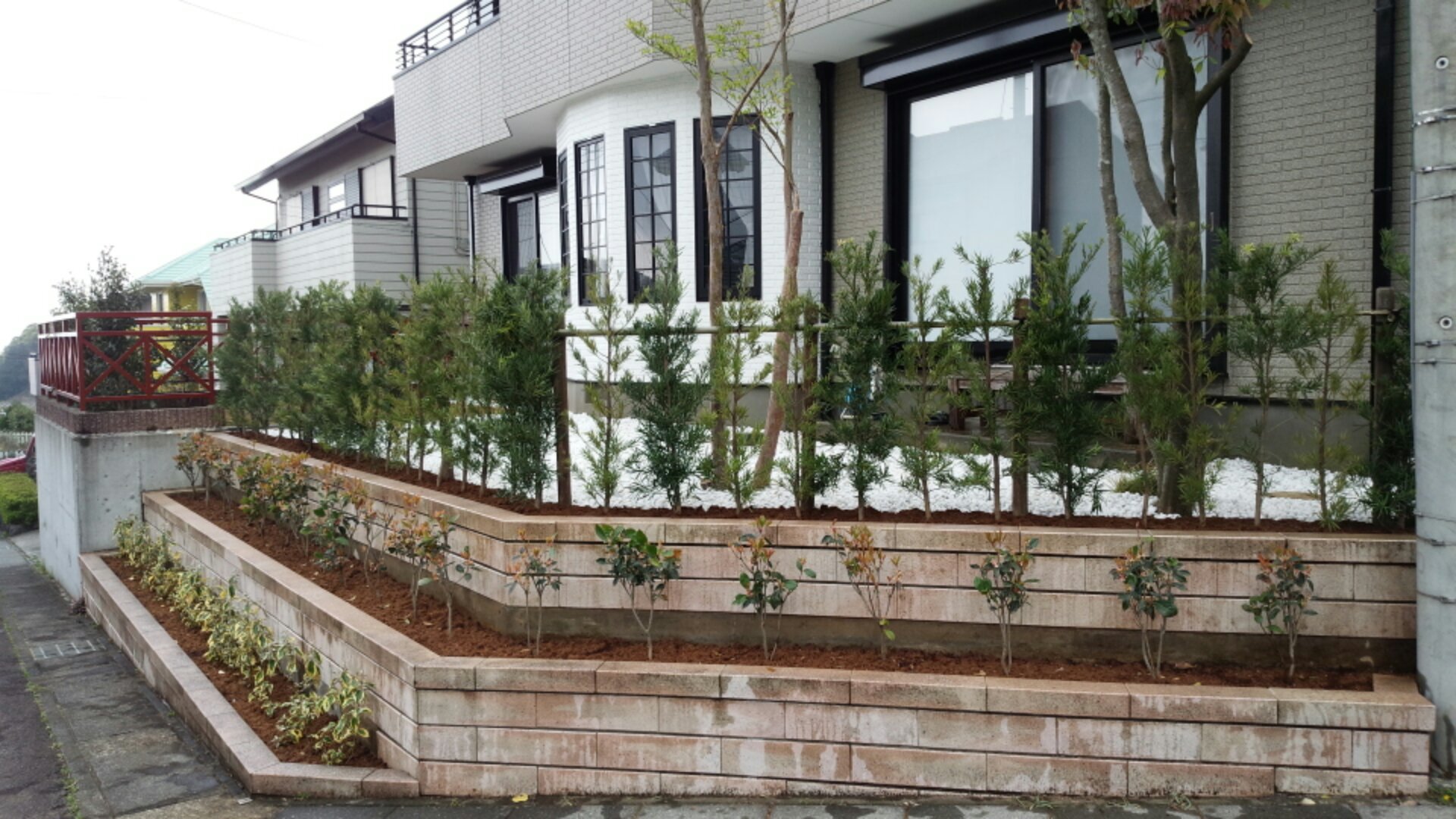 IMG_20150417_101821.jpg image